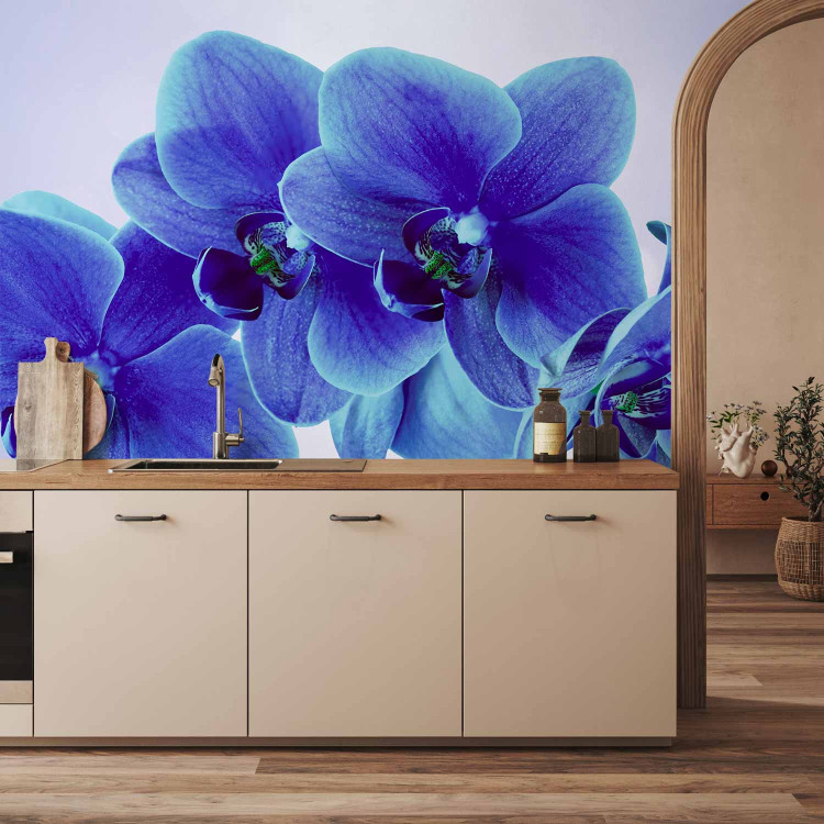Photo Wallpaper Moments of Solitude - Blue Orchids on a Blue Background with White 60318 additionalImage 6