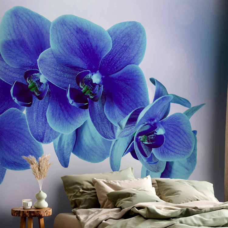 Photo Wallpaper Moments of Solitude - Blue Orchids on a Blue Background with White 60318 additionalImage 2