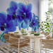 Photo Wallpaper Moments of Solitude - Blue Orchids on a Blue Background with White 60318 additionalThumb 7