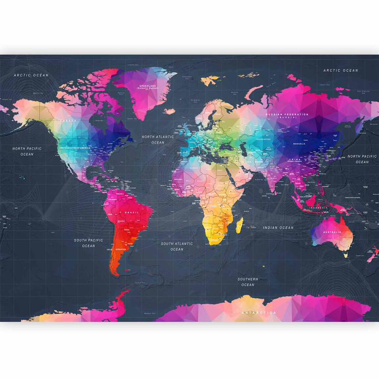 Photo Wallpaper Coloured world map - geometric outline with inscriptions in English 95018 additionalImage 1