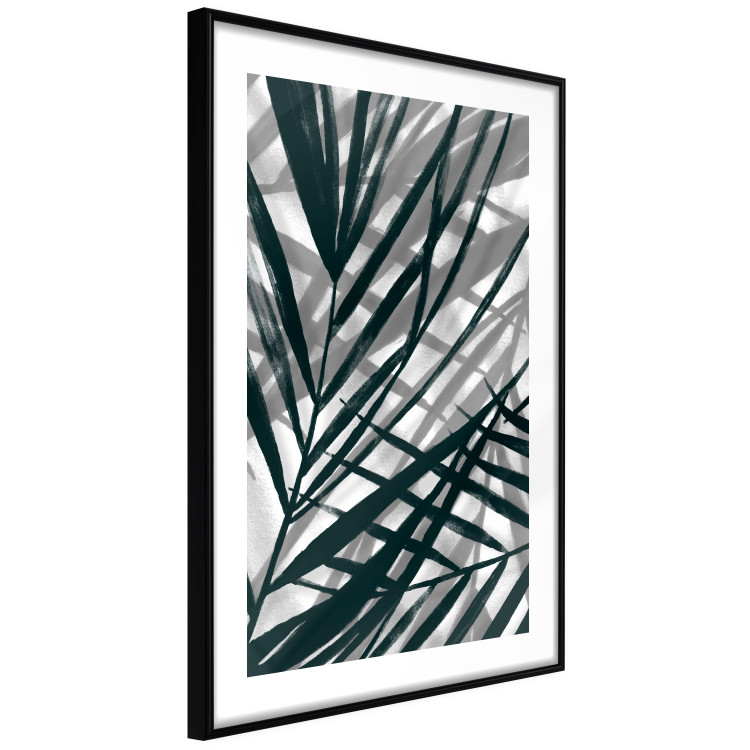 Poster In the Shade of Leaves - black and white leaves casting shadows on a white wall 122628 additionalImage 11