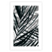 Poster In the Shade of Leaves - black and white leaves casting shadows on a white wall 122628 additionalThumb 18