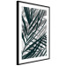 Poster In the Shade of Leaves - black and white leaves casting shadows on a white wall 122628 additionalThumb 11