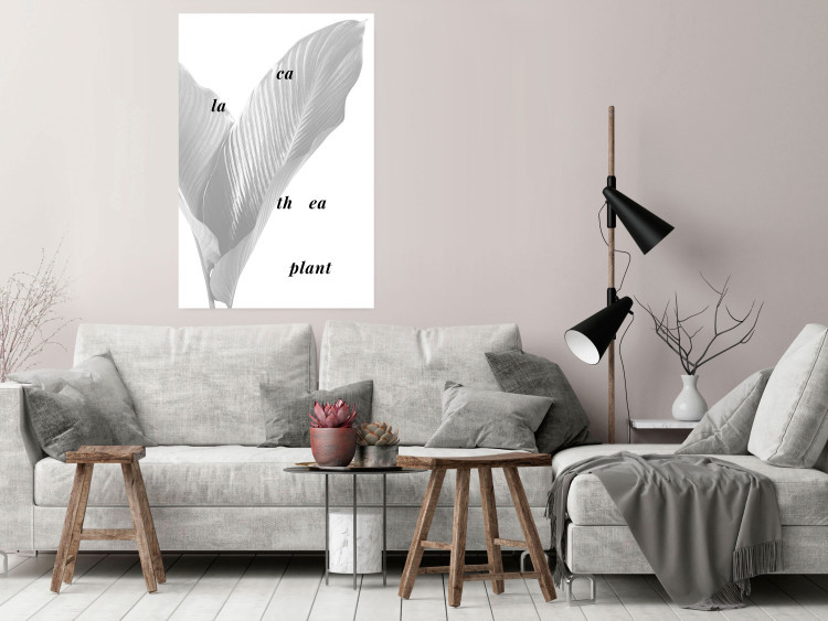 Wall Poster Calathea Plant - black English text on a background of white plants 123128 additionalImage 23