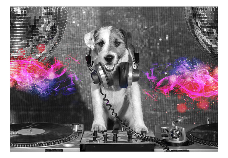 Photo Wallpaper Dog DJ - a playful abstraction in shades of grey with a music motif 129028 additionalImage 1