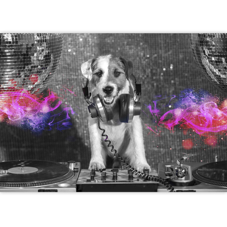 Photo Wallpaper Dog DJ - a playful abstraction in shades of grey with a music motif 129028 additionalImage 3