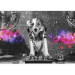 Photo Wallpaper Dog DJ - a playful abstraction in shades of grey with a music motif 129028 additionalThumb 3