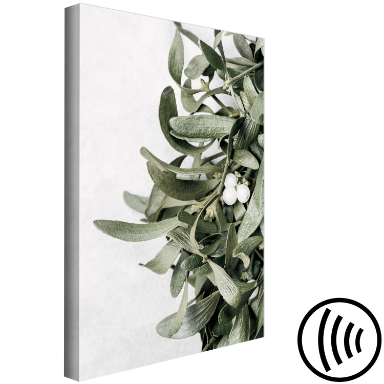 Canvas Print Mistletoe leaves - winter, botanical photography on white background 130728 additionalImage 6