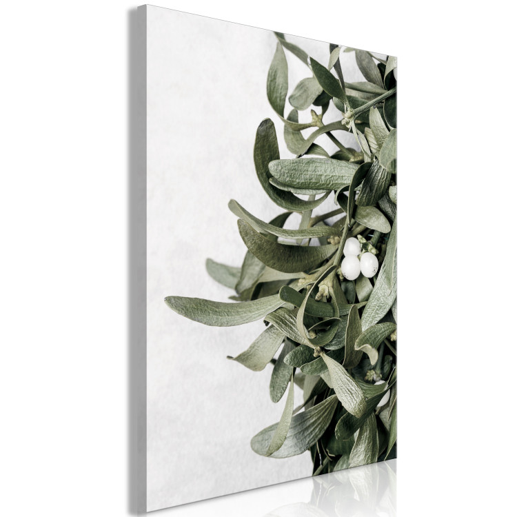Canvas Print Mistletoe leaves - winter, botanical photography on white background 130728 additionalImage 2
