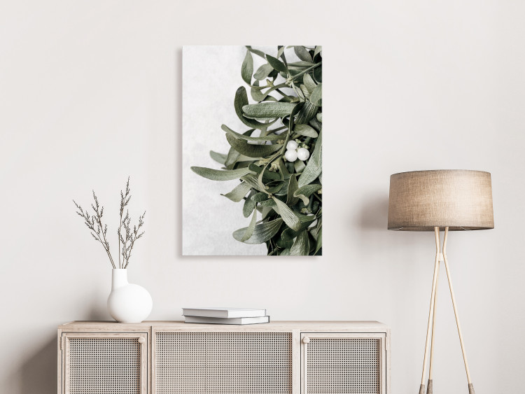 Canvas Print Mistletoe leaves - winter, botanical photography on white background 130728 additionalImage 3
