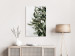 Canvas Print Mistletoe leaves - winter, botanical photography on white background 130728 additionalThumb 3