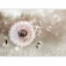 Photo Wallpaper Bursting moments - blowfly flower motif in a meadow in summer in sepia 136028 additionalThumb 5