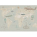 Wall Mural Children's map - fabulous planes and animals on a background of a map of the continents 143428 additionalThumb 3