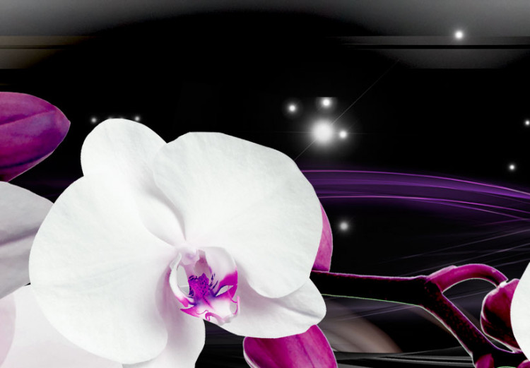 Canvas Orchids on a black background 50028 additionalImage 5