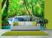 Wall Mural In Natural Environment - Waterfall Landscape amidst Forest Trees 60028