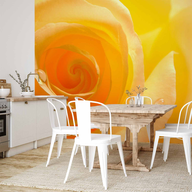 Wall Mural Yellow Rose - Close-up of a Rose Flower Petal with Dew Drops 60328 additionalImage 7