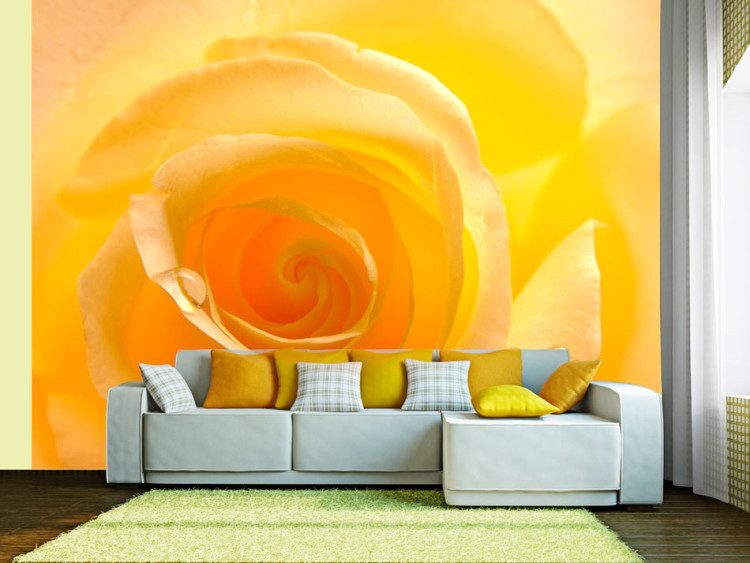 Wall Mural Yellow Rose - Close-up of a Rose Flower Petal with Dew Drops 60328