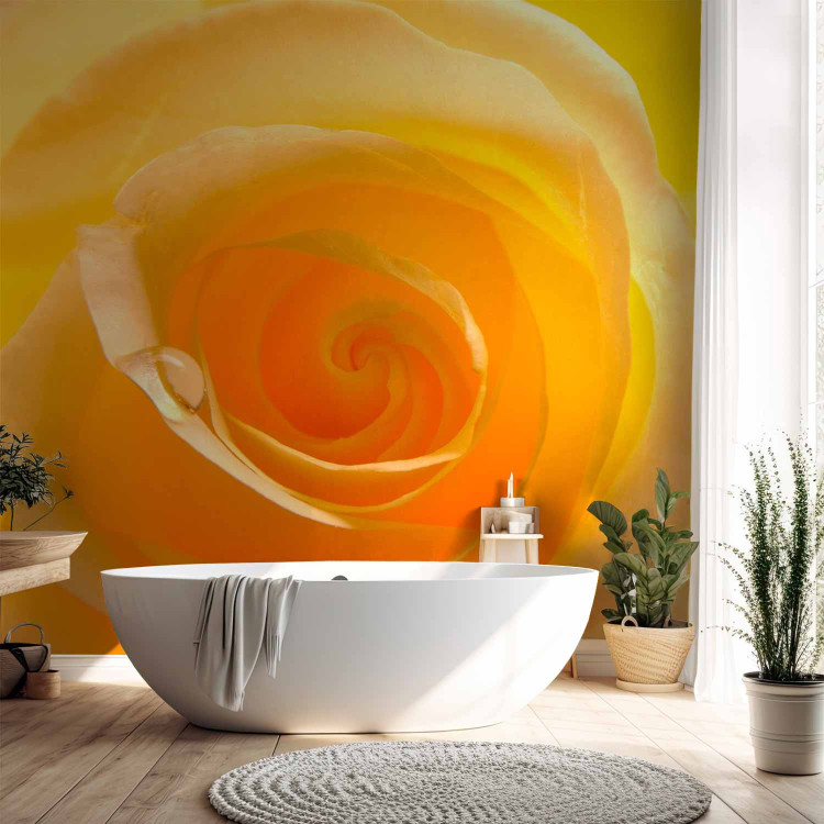 Wall Mural Yellow Rose - Close-up of a Rose Flower Petal with Dew Drops 60328 additionalImage 8