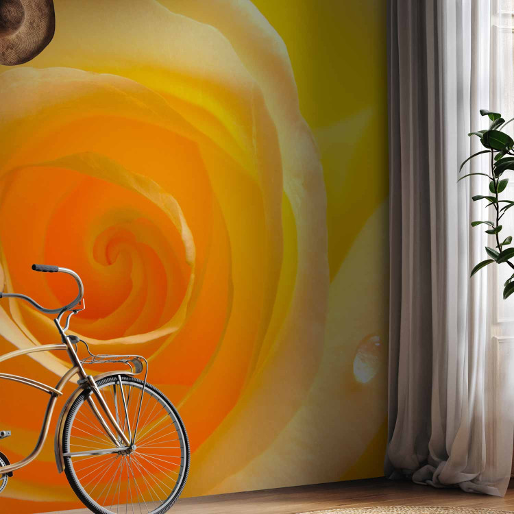 Wall Mural Yellow Rose - Close-up of a Rose Flower Petal with Dew Drops 60328 additionalImage 4
