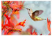 Photo Wallpaper Flight of the Hummingbird - Hummingbird consuming nectar from a red flower 61328