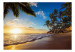 Photo Wallpaper Tropical Beach 64728 additionalThumb 1
