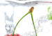 Print On Glass Frozen Cherries [Glass] 92728 additionalThumb 5