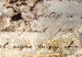 Canvas Golden Dandelion (5-piece) - Composition with Inscriptions on Concrete 98628 additionalThumb 4