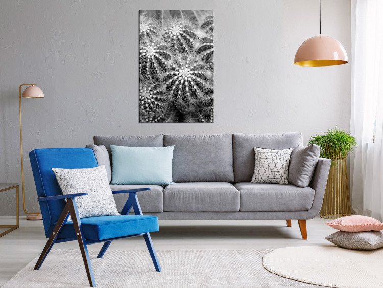 Canvas Black and white cactuses - nature theme on black and white photo cacti showing close up of these plants 117938 additionalImage 3