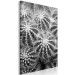 Canvas Black and white cactuses - nature theme on black and white photo cacti showing close up of these plants 117938 additionalThumb 2
