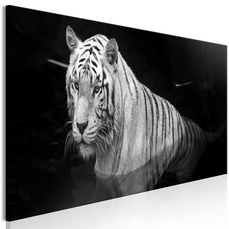 Canvas Art Print Shining Tiger (1 Part) Black and White Narrow 123338 additionalImage 2