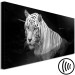 Canvas Art Print Shining Tiger (1 Part) Black and White Narrow 123338 additionalThumb 6