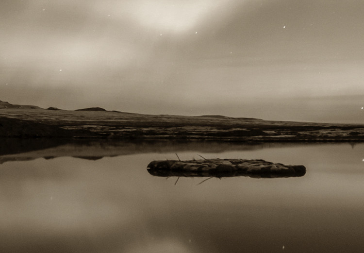 Large canvas print Lake in Sepia II [Large Format] 125538 additionalImage 4