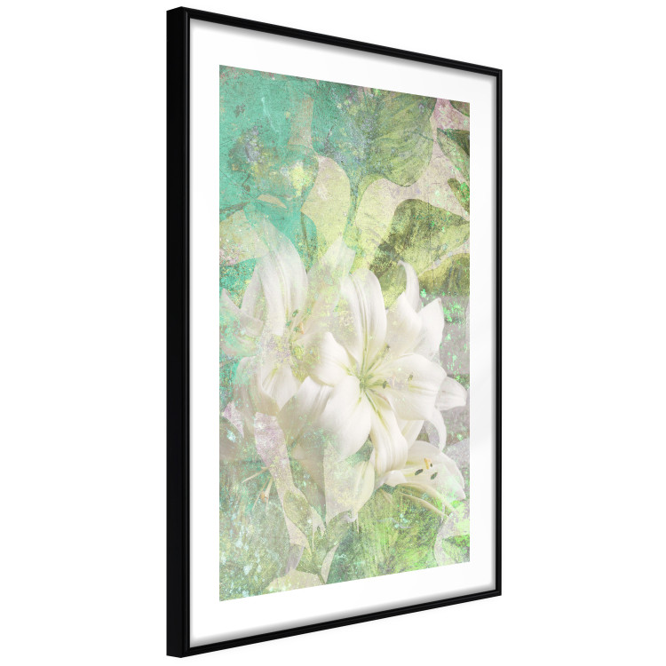 Poster Green Breath - texture with white Lily flower on green background 127838 additionalImage 8
