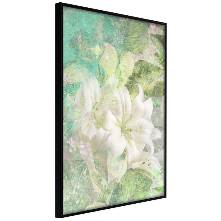Poster Green Breath - texture with white Lily flower on green background 127838 additionalImage 13