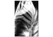 Canvas Art Print White Feather (1-piece) Vertical - white bird feather on black background 129738