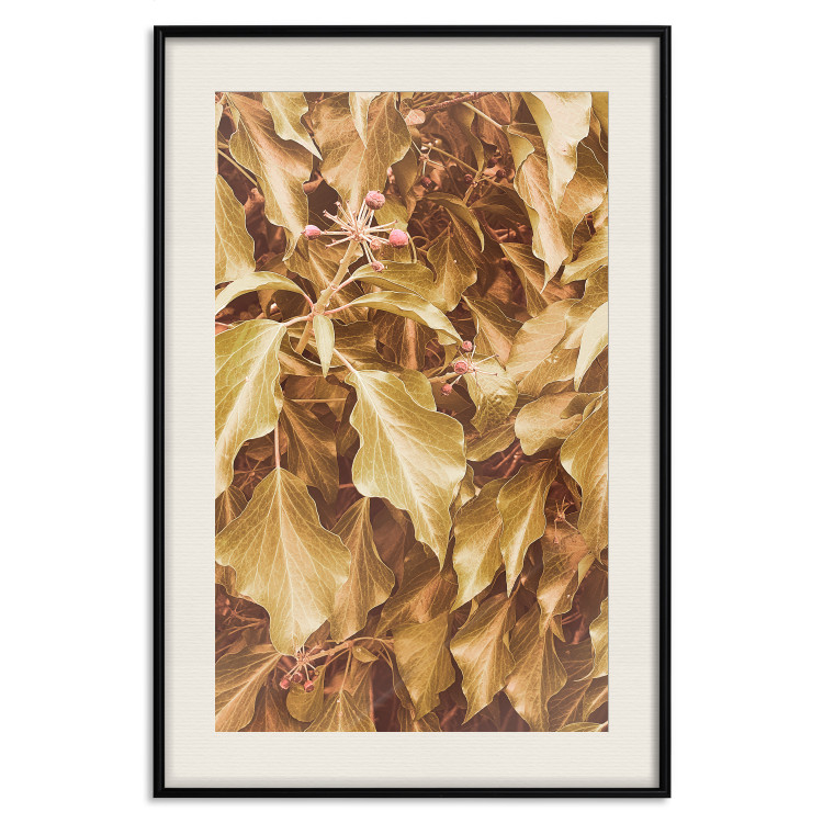 Poster Autumn Aura - plant composition on a hedge in sepia motif 131838 additionalImage 19