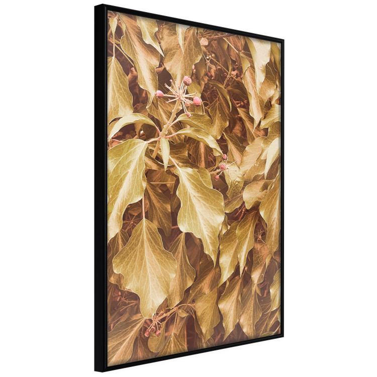 Poster Autumn Aura - plant composition on a hedge in sepia motif 131838 additionalImage 13