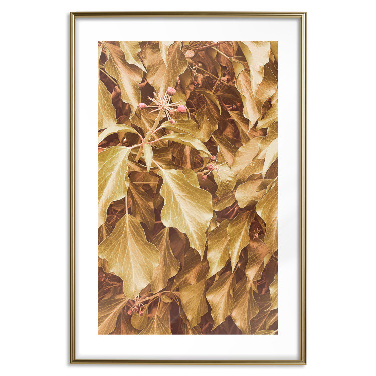 Poster Autumn Aura - plant composition on a hedge in sepia motif 131838 additionalImage 16