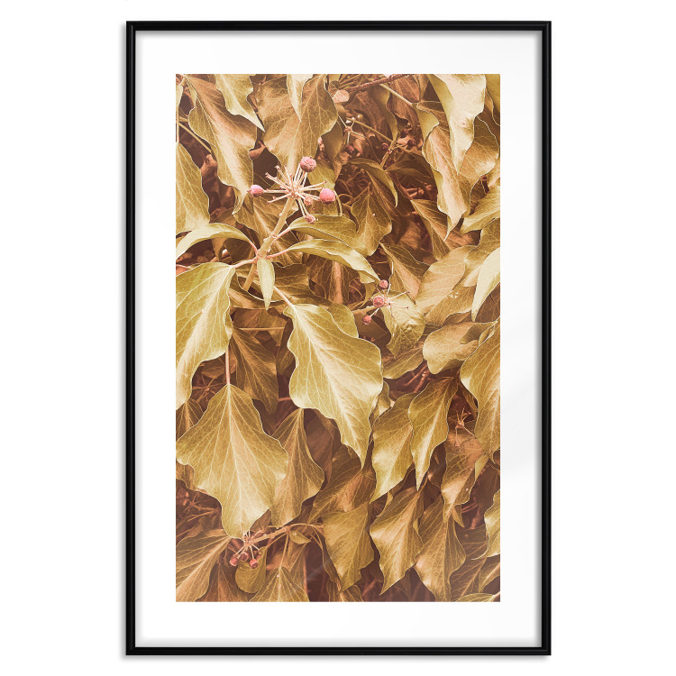 Poster Autumn Aura - plant composition on a hedge in sepia motif 131838 additionalImage 15