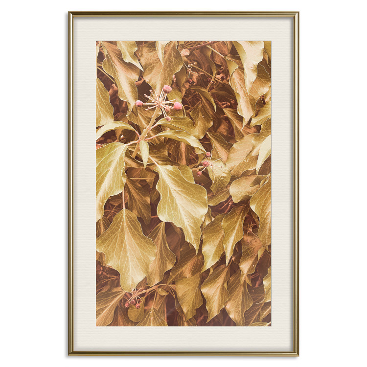 Poster Autumn Aura - plant composition on a hedge in sepia motif 131838 additionalImage 20