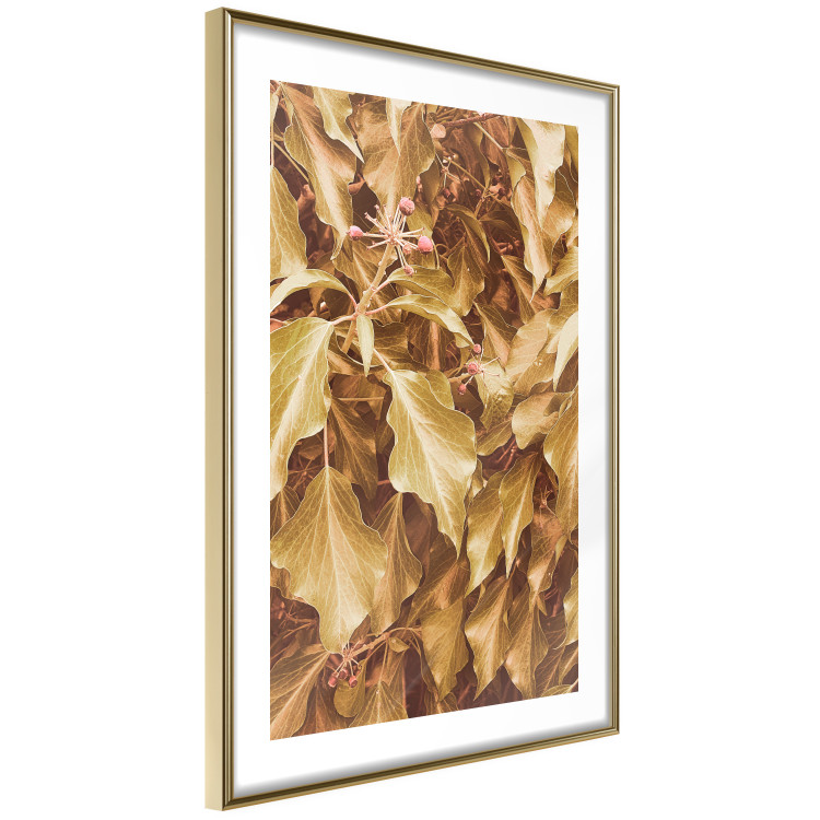 Poster Autumn Aura - plant composition on a hedge in sepia motif 131838 additionalImage 9