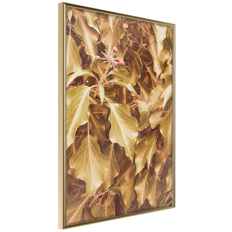 Poster Autumn Aura - plant composition on a hedge in sepia motif 131838 additionalImage 12