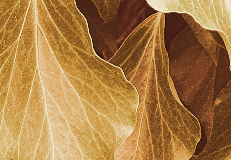 Poster Autumn Aura - plant composition on a hedge in sepia motif 131838 additionalImage 11