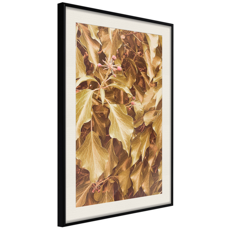 Poster Autumn Aura - plant composition on a hedge in sepia motif 131838 additionalImage 2