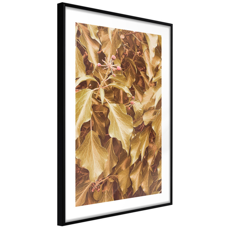 Poster Autumn Aura - plant composition on a hedge in sepia motif 131838 additionalImage 8