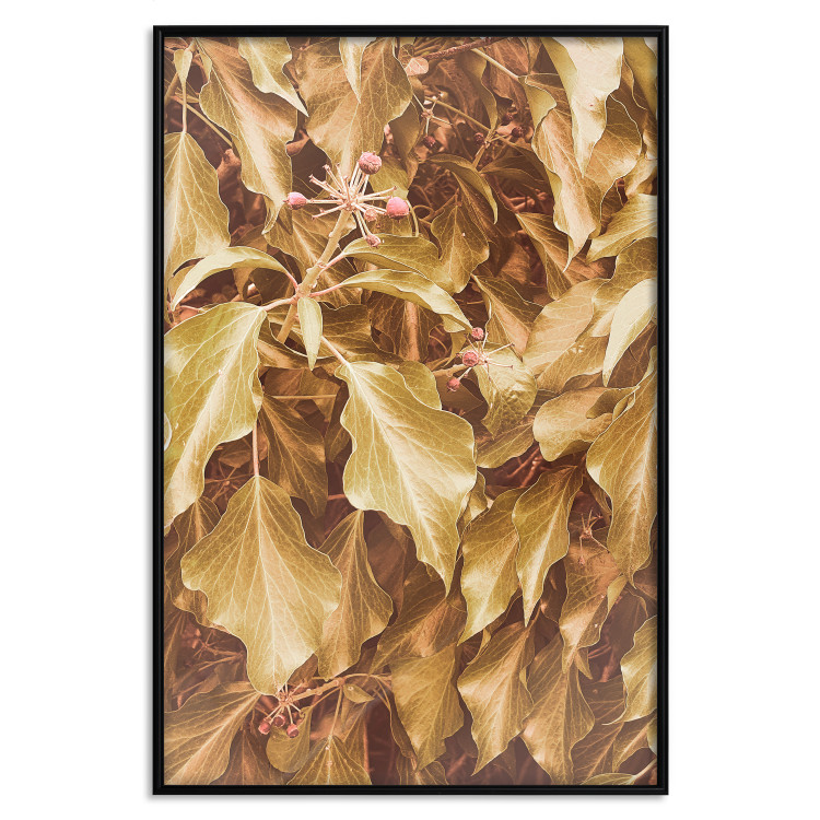 Poster Autumn Aura - plant composition on a hedge in sepia motif 131838 additionalImage 18