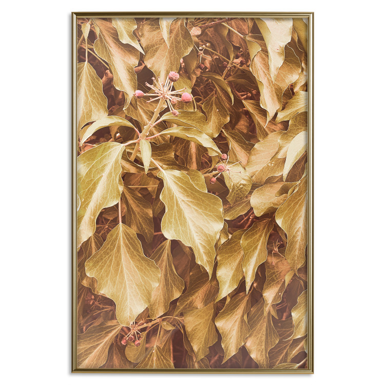 Poster Autumn Aura - plant composition on a hedge in sepia motif 131838 additionalImage 17