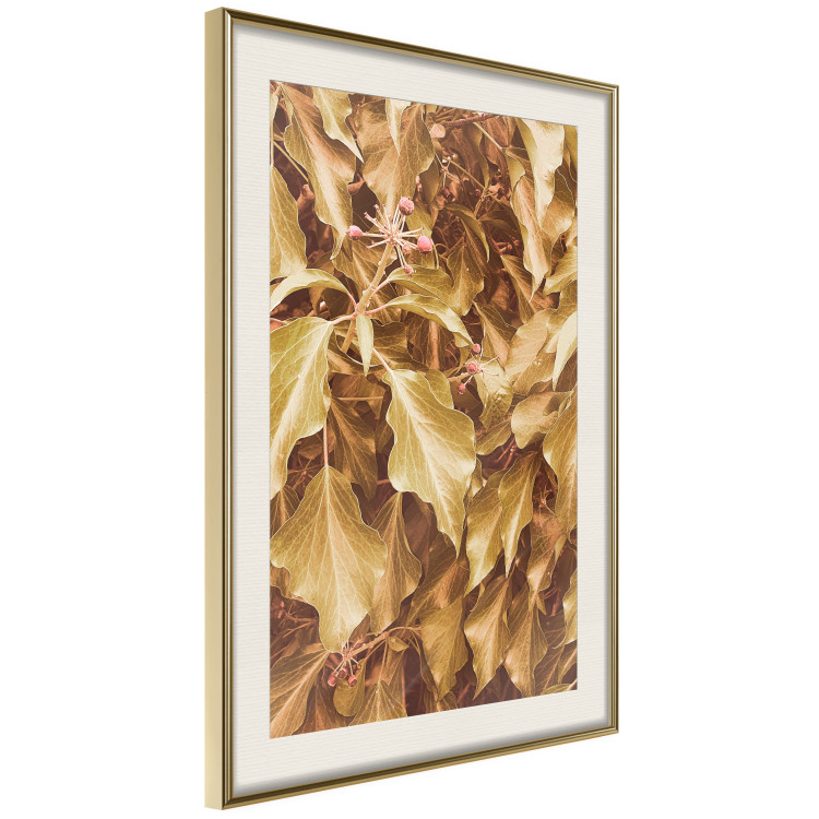 Poster Autumn Aura - plant composition on a hedge in sepia motif 131838 additionalImage 3