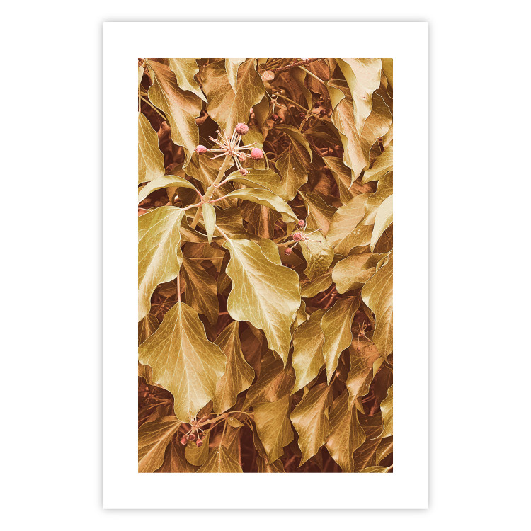 Poster Autumn Aura - plant composition on a hedge in sepia motif 131838 additionalImage 25