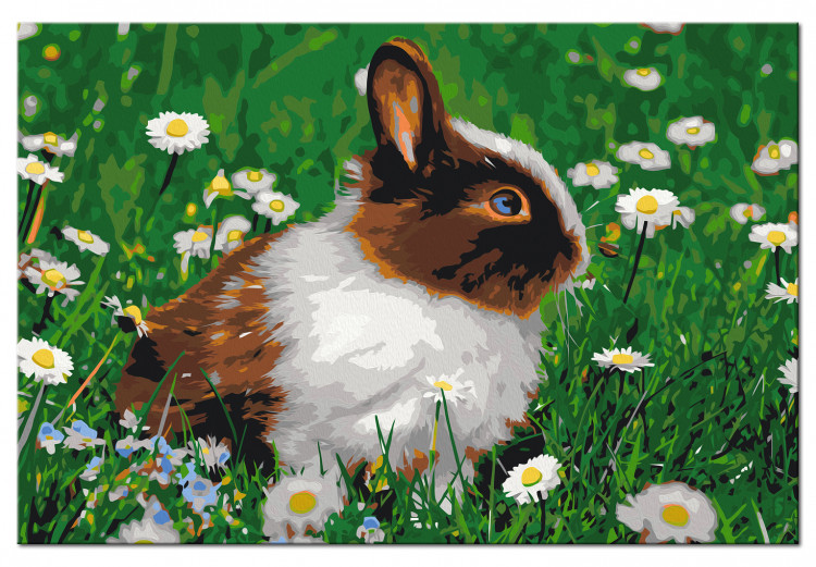 Paint by number Rabbit in the Meadow 134538 additionalImage 6